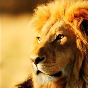 Meet your Posher, Christian